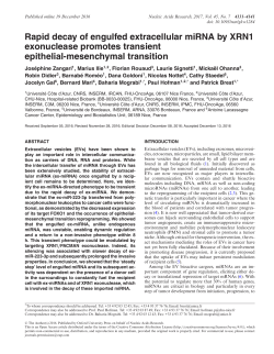 Rapid decay of engulfed extracellular miRNA by XRN1 exonuclease