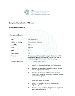 4N2910_AwardSpecifications_English