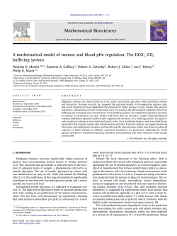 A mathematical model of tumour and blood pHe regulation: The