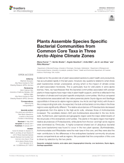 Plants Assemble Species Specific Bacterial Communities from