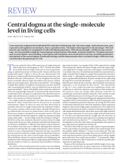 review - UMass Chemistry