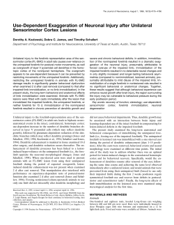 Use-Dependent Exaggeration of Neuronal Injury