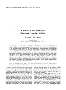 A Review of the Stenetriidae (Crustacea: Isopoda