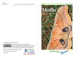 SummerReads&trade; Moths