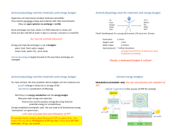 Animal physiology and the materials and energy budget Animal