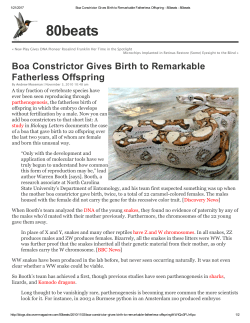 Boa Constrictor Gives Birth to Remarkable