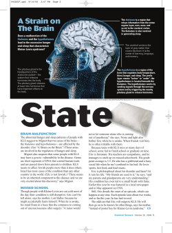 A Strain on The Brain