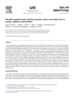 Oil palm expansion into rain forest greatly reduces ant biodiversity in