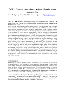 S-29.3: Plumage coloration as a signal of social status