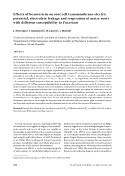 Effects of beauvericin on root cell transmembrane electric potential