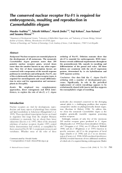 Caenorhabditis elegans