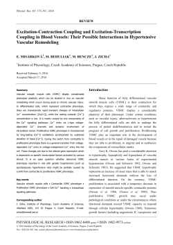 Excitation-Contraction Coupling and Excitation