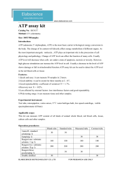 Elabscience ATP assay kit