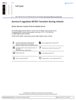 Aurora-A regulates MCRS1 function during mitosis - e