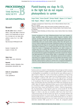 Plastid-bearing sea slugs fix CO2 in the light but do not require