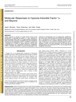 Molecular Responses to Hypoxia-Inducible Factor 1a and Beyond