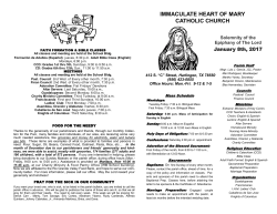 Bulletin - Immaculate Heart of Mary Parish