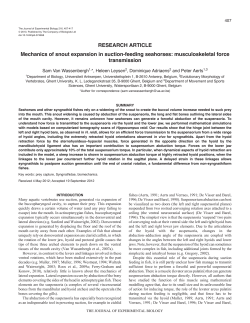 Mechanics of snout expansion in suction