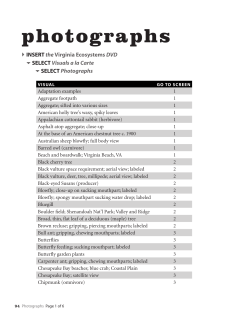 See the Index of Visuals