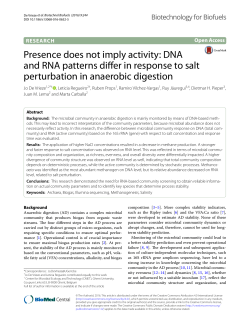 Presence does not imply activity: DNA and RNA patterns differ in