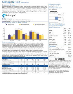 Investment Strategy Long-term returns % as of 03/31/2017 Risk and