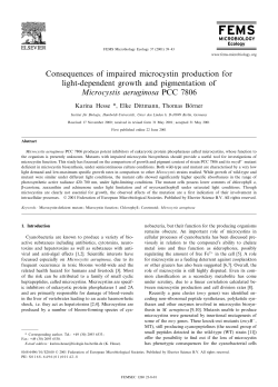 Consequences of impaired microcystin production for light