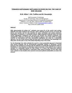Paper on Sustainable Wetlands in River Deltas Case Study of New