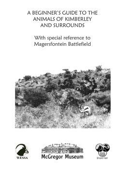 A BEGINNER`S GUIDE TO THE ANIMALS OF KIMBERLEY AND