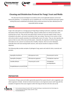 Cleaning and Disinfection Protocol for Fungi, Yeast and Molds