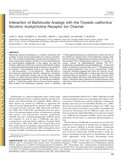 Interaction of Barbiturate Analogs with the Torpedo