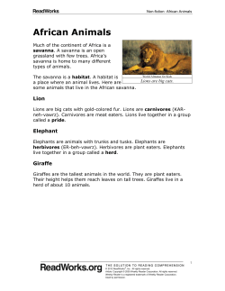 African Animals - Covington Independent Public Schools