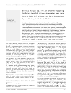 Bacillus macyae sp. nov., an arsenate-respiring bacterium