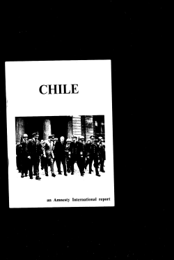 PDF - Amnesty International