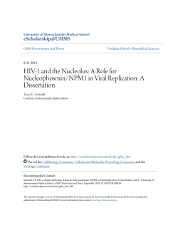 HIV-1 and the Nucleolus: A Role for Nucleophosmin/NPM1 in Viral