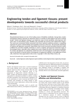Engineering tendon and ligament tissues: present developments
