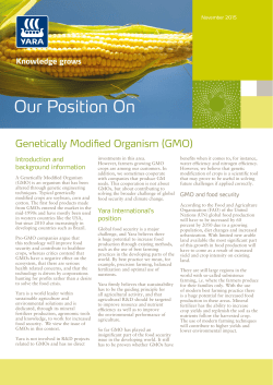 GMO - Yara International