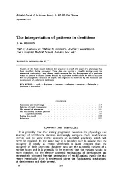 The interpretation of patterns in dentitions