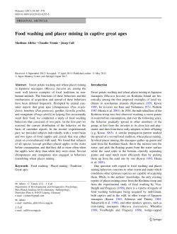 Food washing and placer mining in captive great apes