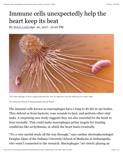 Immune cells unexpectedly help the heart keep its beat | Science