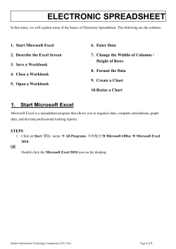 electronic spreadsheet