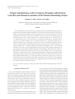 Neogene and Quatenary crabs (Crustacea, Decapoda) collected