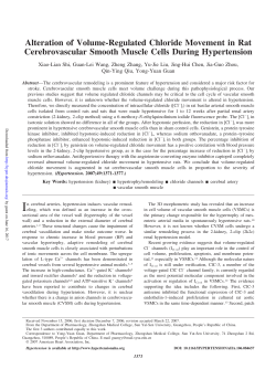 Alteration of Volume-Regulated Chloride Movement