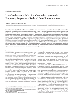 Low-Conductance HCN1 Ion Channels Augment the Frequency