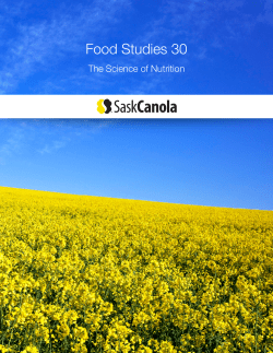 Food Studies 30