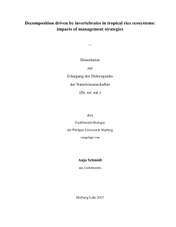 Decomposition driven by invertebrates in tropical rice ecosystems