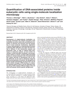 Quantification of DNA-associated proteins inside eukaryotic cells