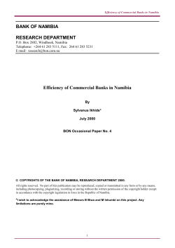 efficiency of namibian commercial banks