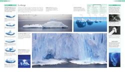 Icebergs - Terrain.org