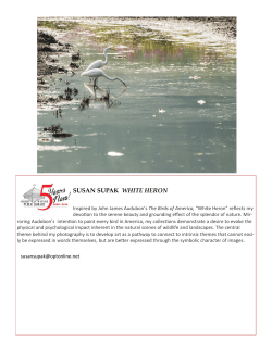 susan supak white heron - Albert Wisner Public Library