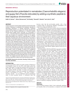 and guppy fish (Poecilia reticulata) by adding a synthetic peptid